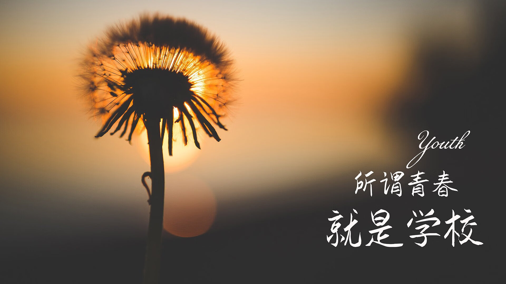开云网页版登录入口-巴希尔·阿卜迪在马拉松比赛中获得银牌埃夫内普尔在男子计时赛中以36分12.16秒夺金