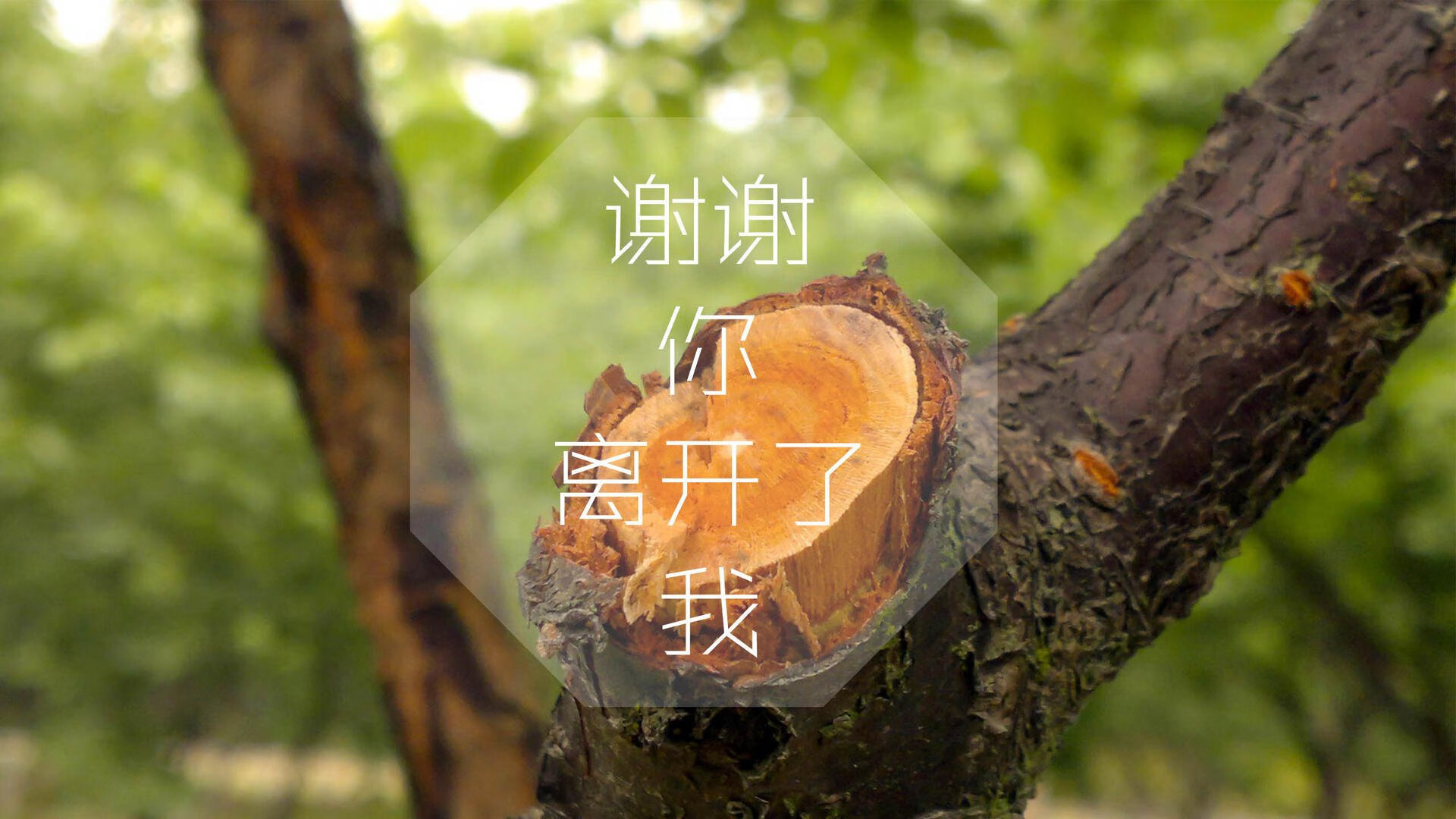 迈阿密热火的战略调整为季后赛奠定基础，迈阿密热火选秀