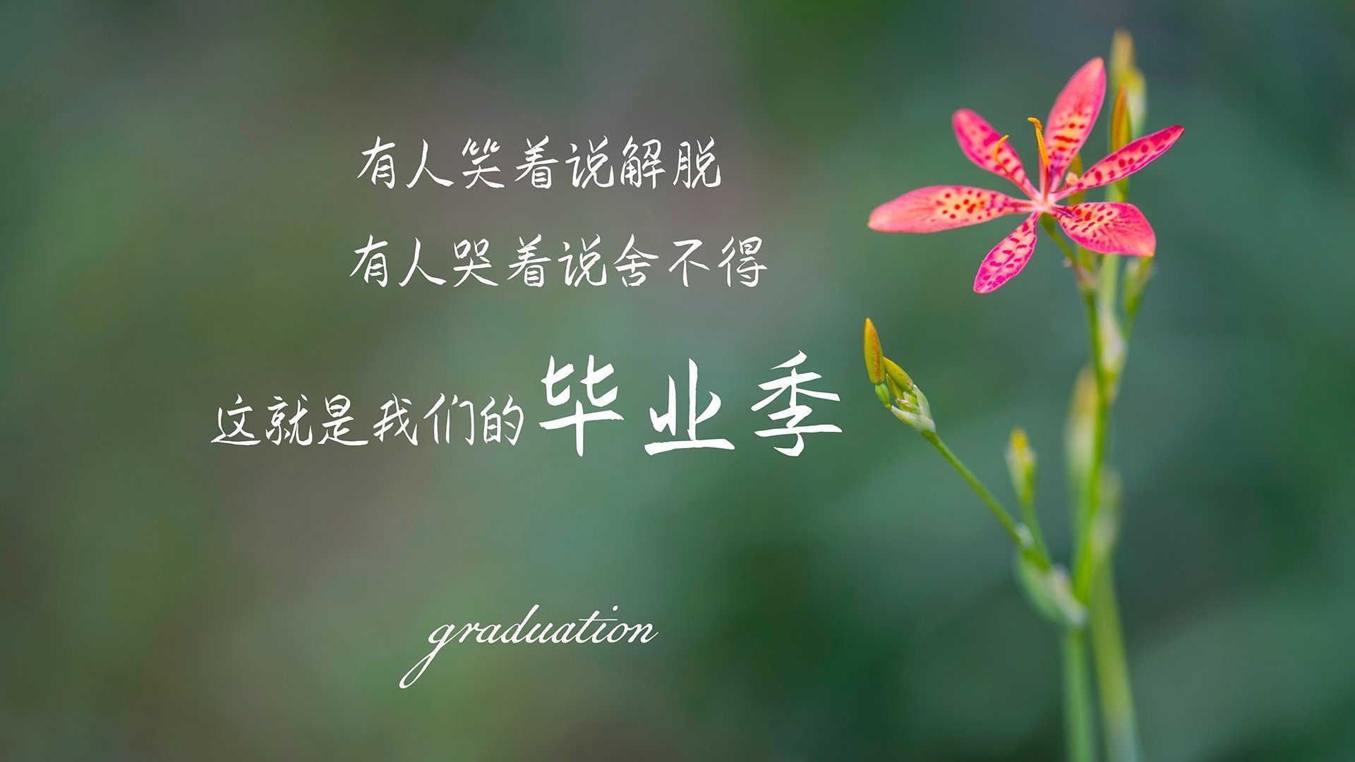 开云体育-BLG推广电竞青少年心理健康教育，电子竞技比赛的心理调控方案