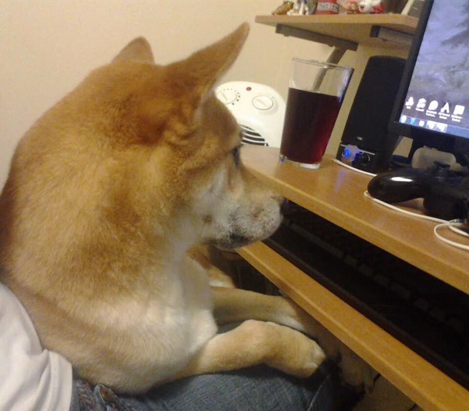 开云网页版登录入口-中国女篮提升三分线外投射能力，女篮3分线和男篮一样吗