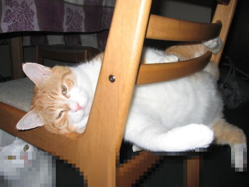 切尔西守门员扑救数次救主成比赛焦点,切尔西的门将是谁