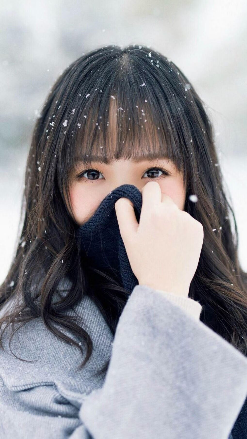 开云官方网页登录-“尼古拉斯·桑特基的精湛技巧与领导力，成就阿根廷美洲狮队的未来”