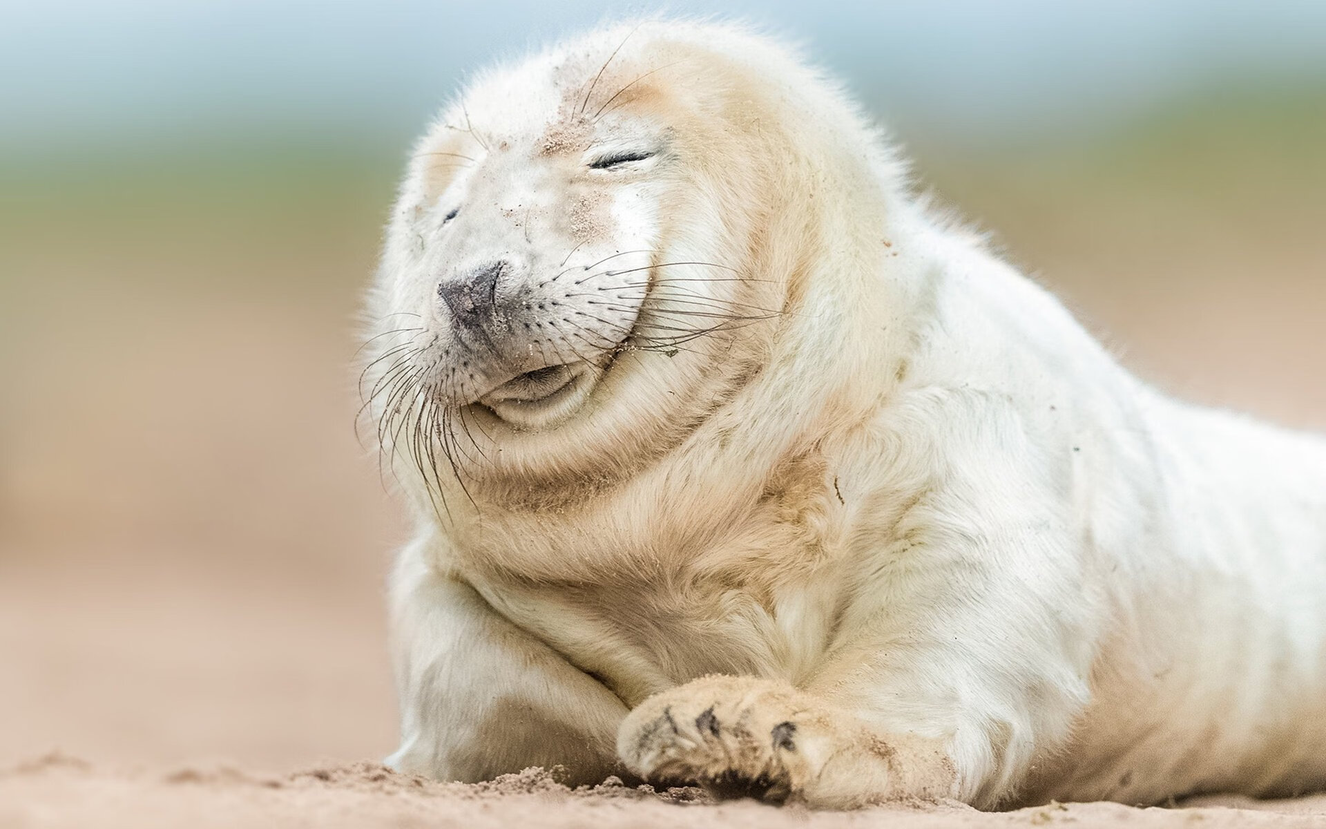 旗下足球俱乐部成立绿色能源基金