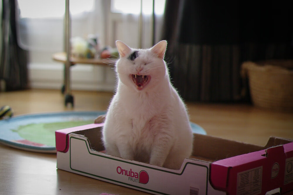 kaiyun.com-英超冲刺激烈：胜负悬念在最后一秒！，英超hull